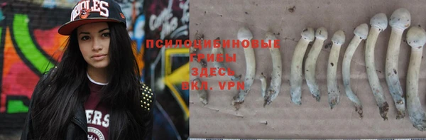 спиды Богородск
