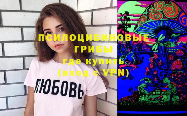 спиды Богородск